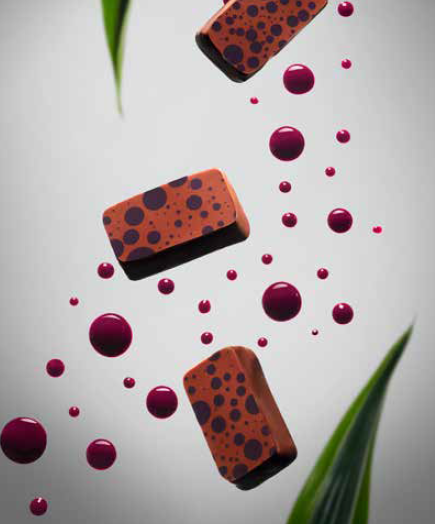 Intense Blackcurrant Chocolate Bonbonbs from Valrhona at Keylink